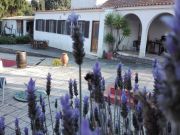 Portugal countryside and lake rentals: gite no. 61769