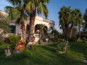 Puglia holiday rentals for 3 people: appartement no. 62353