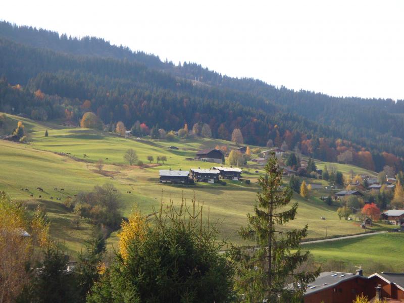 photo 6 Owner direct vacation rental Praz sur Arly appartement Rhone-Alps Haute-Savoie View from the balcony