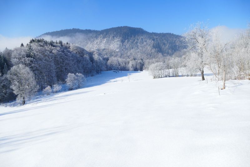 photo 17 Owner direct vacation rental Les Carroz d'Araches gite Rhone-Alps Haute-Savoie View from the property