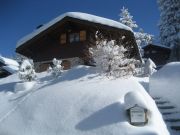 mountain and ski rentals: chalet no. 742