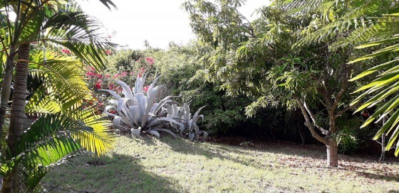 photo 7 Owner direct vacation rental Vieux-habitants studio Basse Terre  Garden