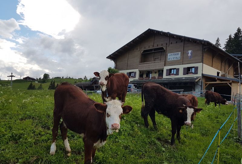 photo 27 Owner direct vacation rental La Clusaz appartement Rhone-Alps Haute-Savoie