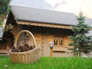 Northern Alps holiday rentals chalets: chalet no. 845