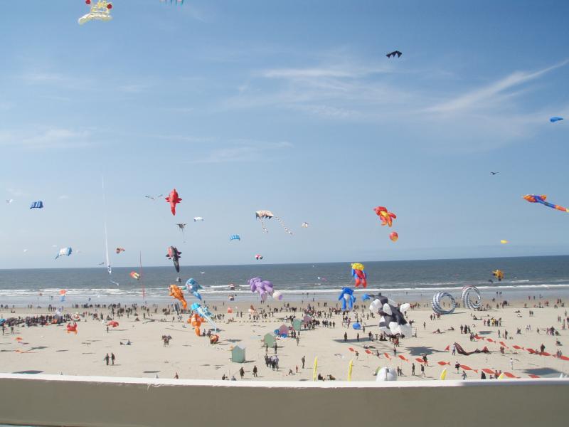 photo 6 Owner direct vacation rental Berck-Plage appartement Nord-Pas de Calais Pas de Calais View from the property