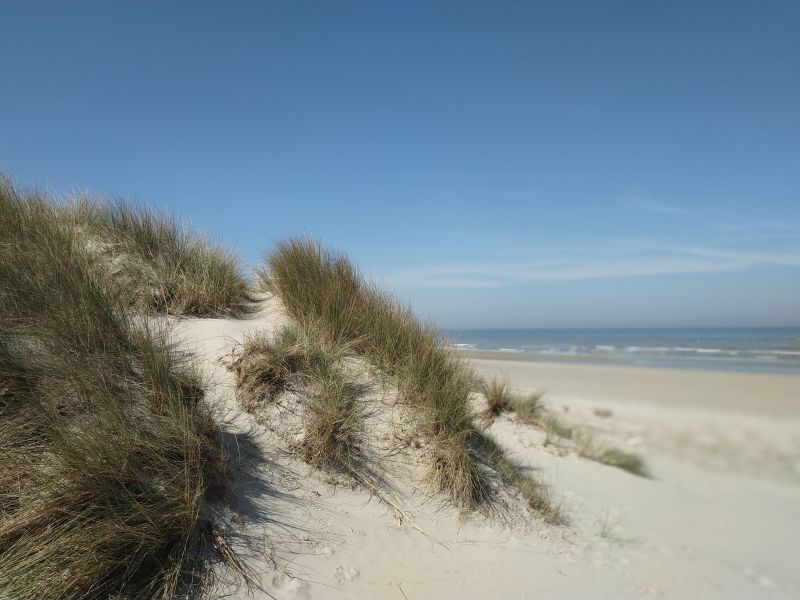 photo 7 Owner direct vacation rental Bray-Dunes studio Nord-Pas de Calais Nord