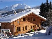 Northern Alps holiday rentals for 7 people: chalet no. 896