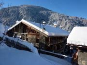 Peisey-Vallandry holiday rentals: appartement no. 101665