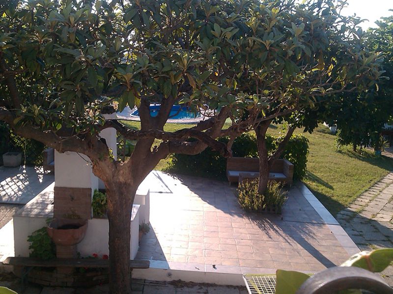 photo 10 Owner direct vacation rental Ortona appartement Abruzzo Chieti Province View from terrace