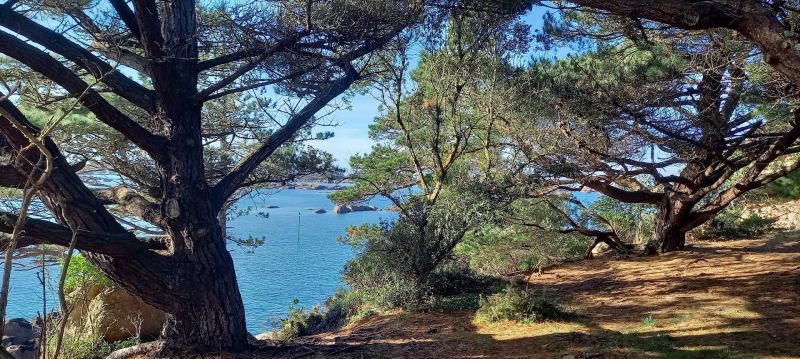 photo 21 Owner direct vacation rental Perros-Guirec appartement Brittany Côtes d'Armor Surroundings