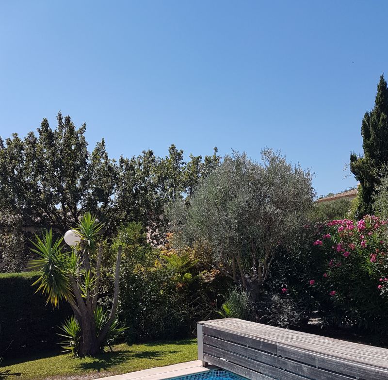 photo 7 Owner direct vacation rental Cogolin villa Provence-Alpes-Cte d'Azur Var Garden