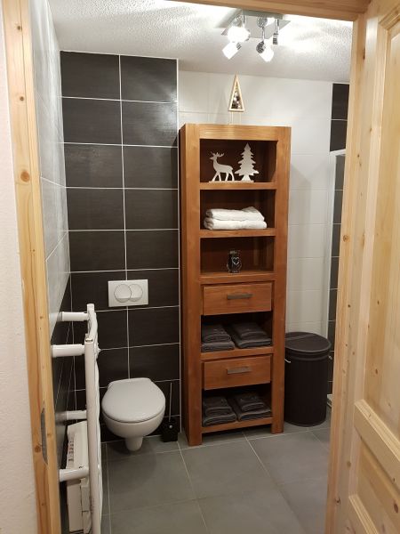 photo 8 Owner direct vacation rental Les 2 Alpes appartement   bathroom
