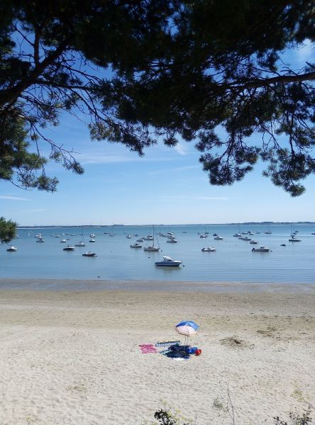 photo 7 Owner direct vacation rental Damgan appartement Brittany Morbihan