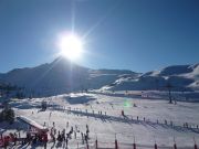 Valle De Bartous ski resort rentals: appartement no. 66531