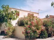 Pyrnes-Orientales holiday rentals for 4 people: maison no. 74693