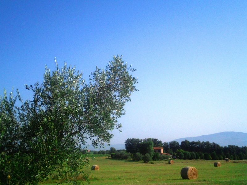 photo 23 Owner direct vacation rental Cortona maison Tuscany Arezzo Province Outside view