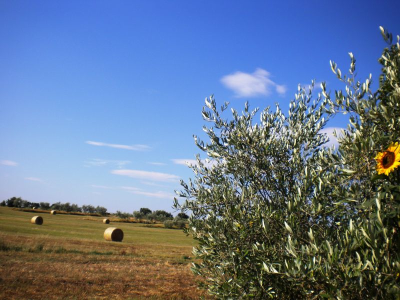 photo 14 Owner direct vacation rental Cortona maison Tuscany Arezzo Province View from the property