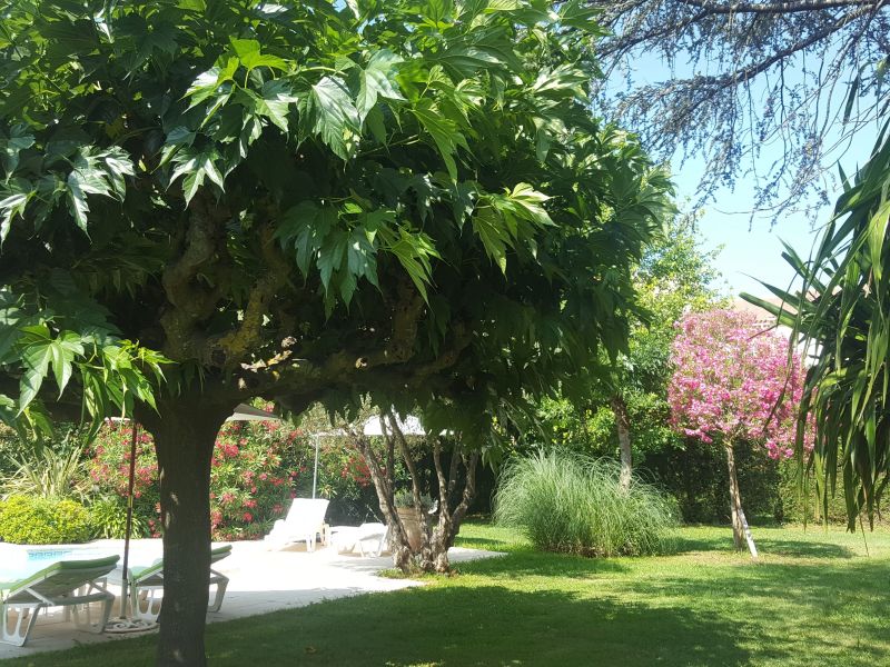 photo 20 Owner direct vacation rental Saint Tropez appartement Provence-Alpes-Cte d'Azur Var Garden