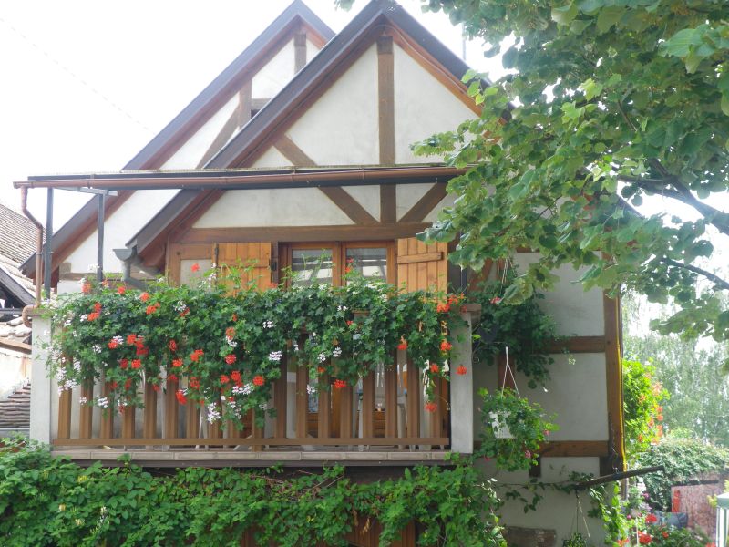 photo 0 Owner direct vacation rental Kintzheim gite Alsace Bas-Rhin