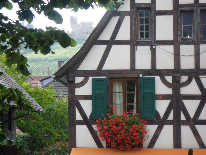 photo 9 Owner direct vacation rental Kintzheim gite Alsace Bas-Rhin View from the balcony