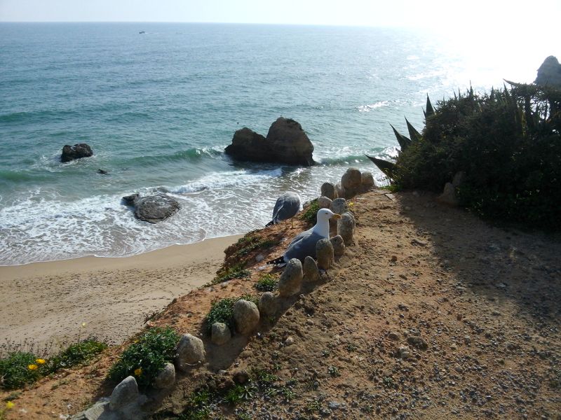 photo 20 Owner direct vacation rental Portimo appartement Algarve  Beach