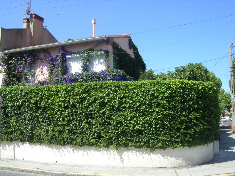 photo 0 Owner direct vacation rental Perpignan maison Languedoc-Roussillon Pyrnes-Orientales Outside view