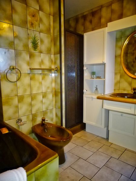 photo 21 Owner direct vacation rental Besse - Super Besse villa Auvergne Puy-de-Dme bathroom 1