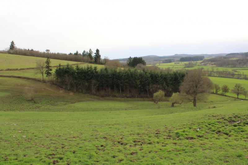 photo 28 Owner direct vacation rental Autun gite Burgundy Sane et Loire Surroundings