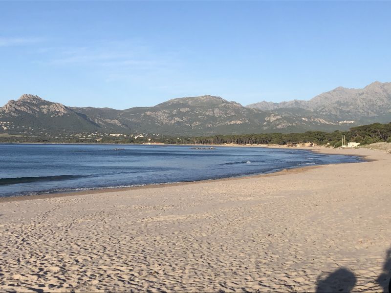 photo 20 Owner direct vacation rental Calvi appartement Corsica Corsica Beach