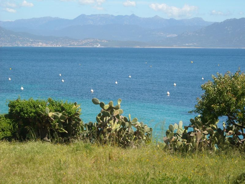 photo 10 Owner direct vacation rental Porto Pollo villa Corsica Corse du Sud View from the property