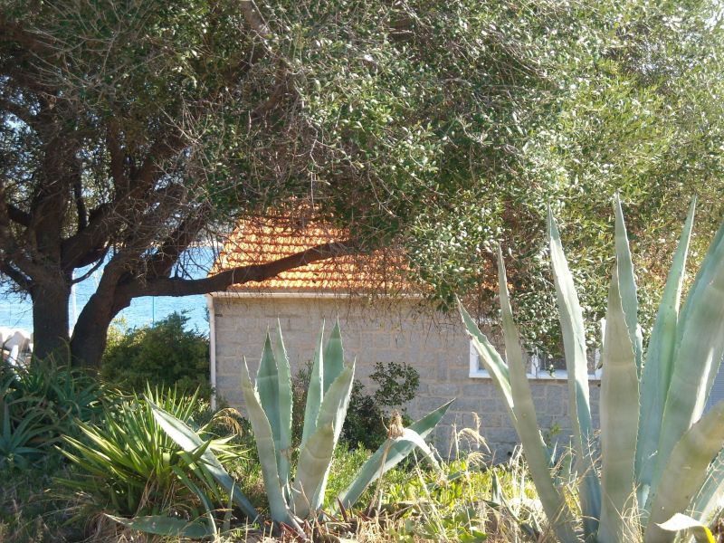 photo 21 Owner direct vacation rental Porto Pollo villa Corsica Corse du Sud Outside view