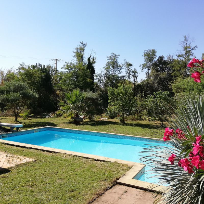photo 9 Owner direct vacation rental Perpignan appartement Languedoc-Roussillon Pyrnes-Orientales Swimming pool