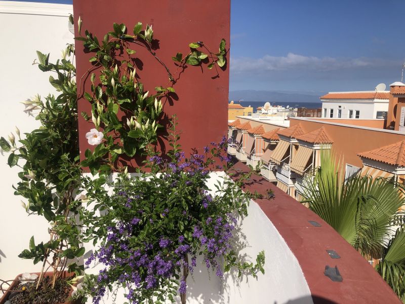 photo 1 Owner direct vacation rental Playa San Juan appartement Canary islands  View from terrace