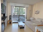 Midi-Pyrnes holiday rentals: studio no. 80914