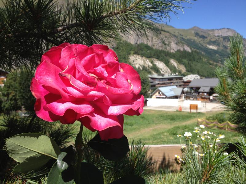 photo 18 Owner direct vacation rental Valloire chalet Rhone-Alps Savoie Garden