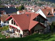 Grardmer holiday rentals: appartement no. 81337