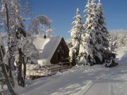 Paradiski holiday rentals: chalet no. 90038