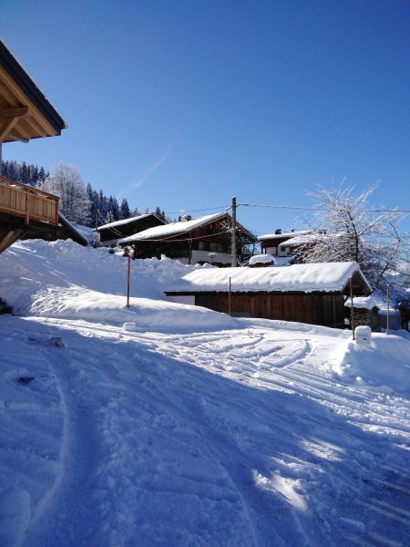 photo 1 Owner direct vacation rental Praz sur Arly appartement Rhone-Alps Haute-Savoie Outside view