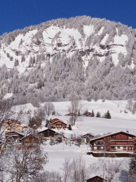 photo 14 Owner direct vacation rental Praz sur Arly appartement Rhone-Alps Haute-Savoie