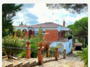 French Mediterranean Coast holiday rentals for 19 people: villa no. 128242
