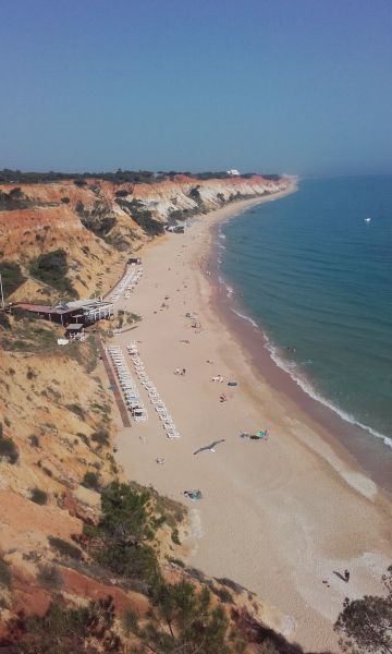 photo 14 Owner direct vacation rental Albufeira appartement Algarve  Beach