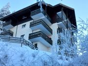 mountain and ski rentals: appartement no. 81227