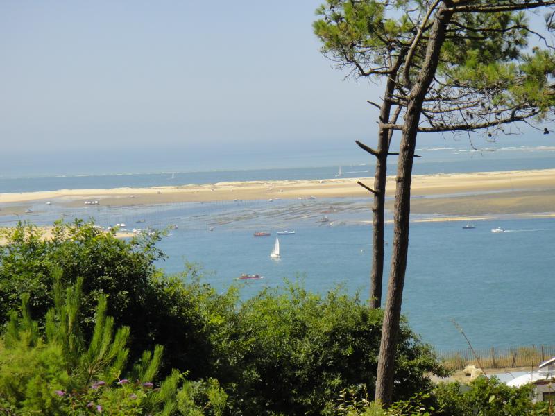 photo 21 Owner direct vacation rental Arcachon appartement Aquitaine Gironde Surroundings