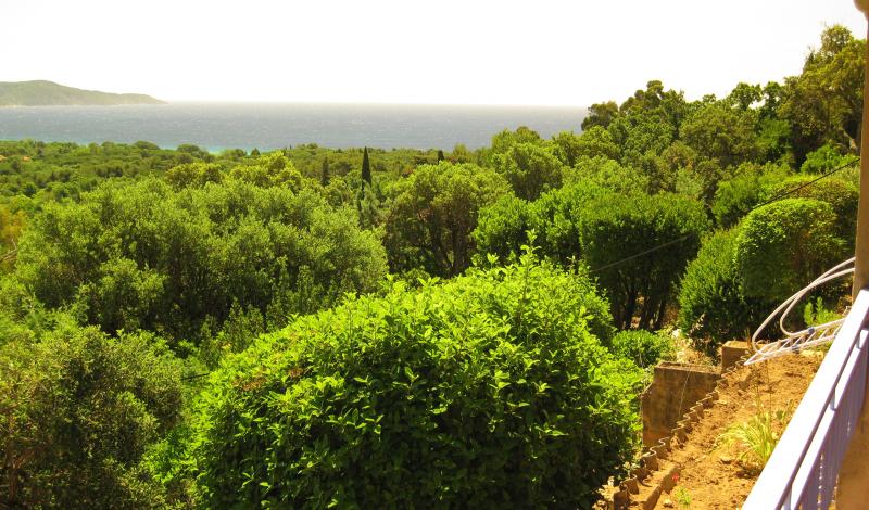 photo 0 Owner direct vacation rental Cavalaire-sur-Mer appartement Provence-Alpes-Cte d'Azur Var View from terrace