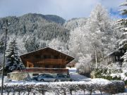 mountain and ski rentals: chalet no. 88059