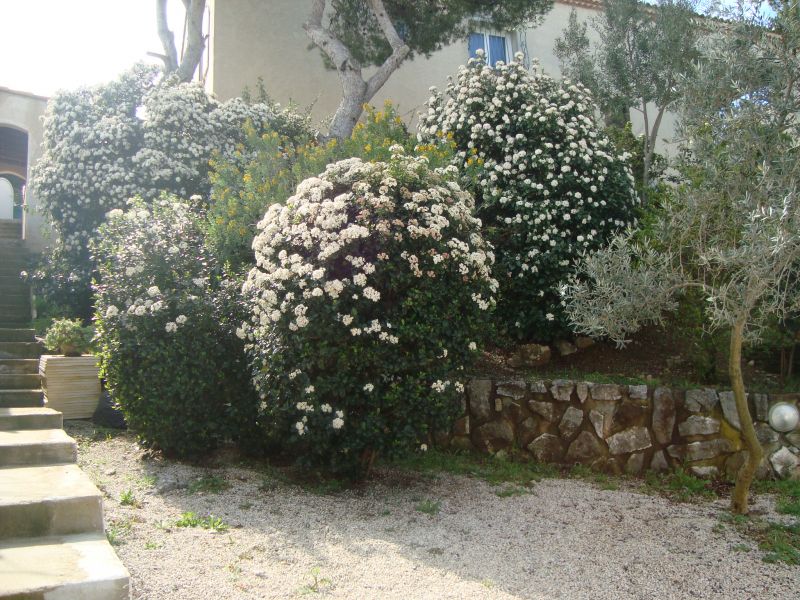 photo 12 Owner direct vacation rental Cassis bungalow Provence-Alpes-Cte d'Azur Bouches du Rhne Garden