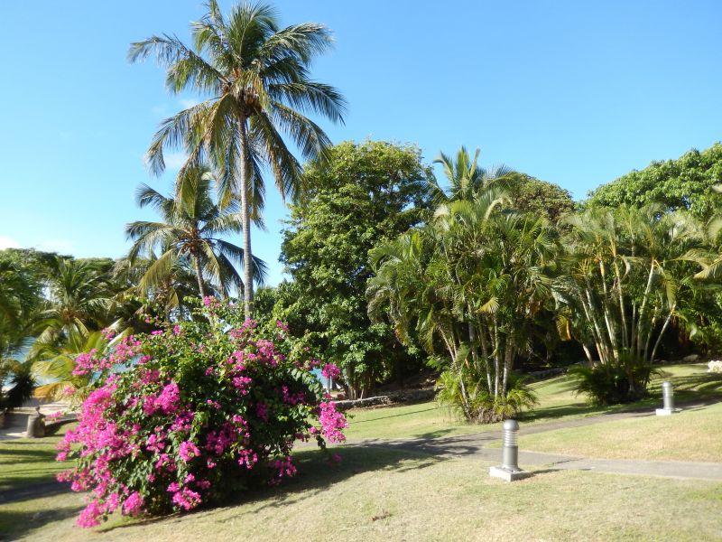 photo 15 Owner direct vacation rental Saint Francois appartement Grande Terre  Garden