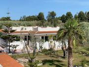 Vieste holiday rentals for 5 people: appartement no. 95397