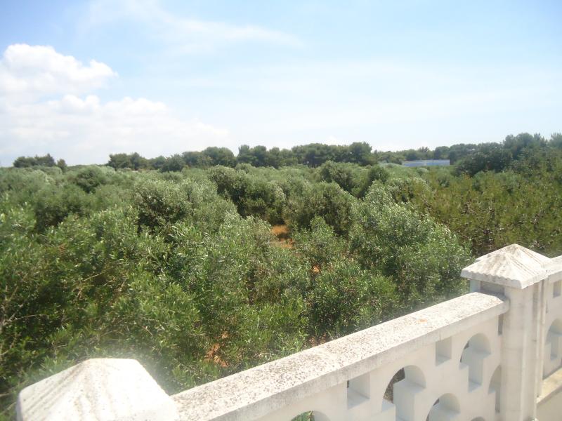 photo 4 Owner direct vacation rental Gallipoli villa Puglia Lecce Province