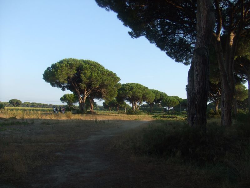 photo 24 Owner direct vacation rental Principina a Mare appartement Tuscany Grosseto Province Surroundings